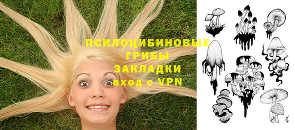 ECSTASY Беломорск