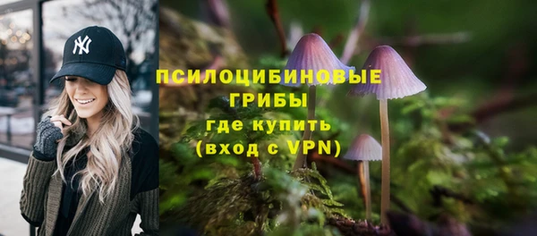 apvp Кулебаки