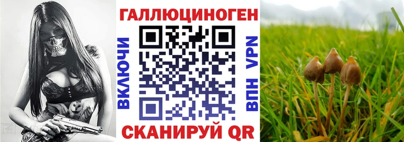 Галлюциногенные грибы MAGIC MUSHROOMS Билибино